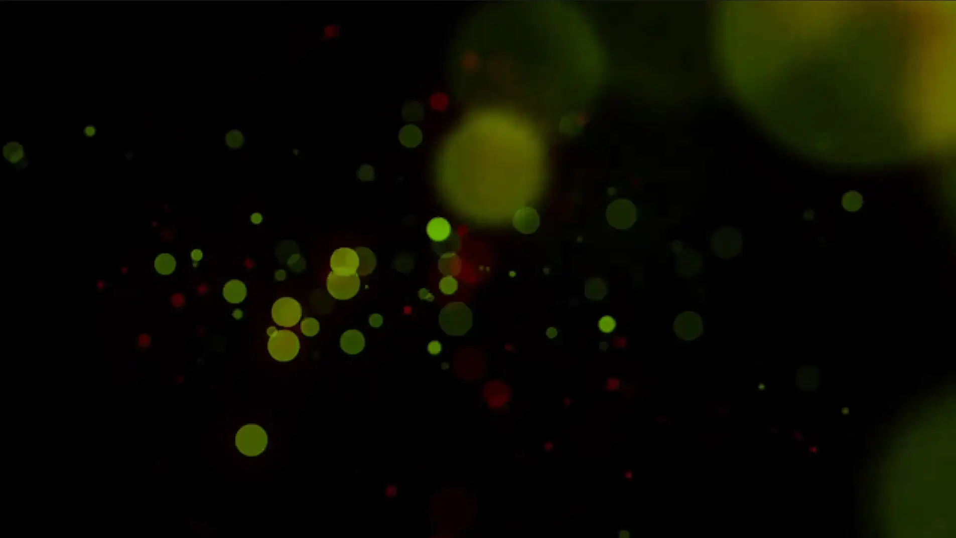 motiondesign